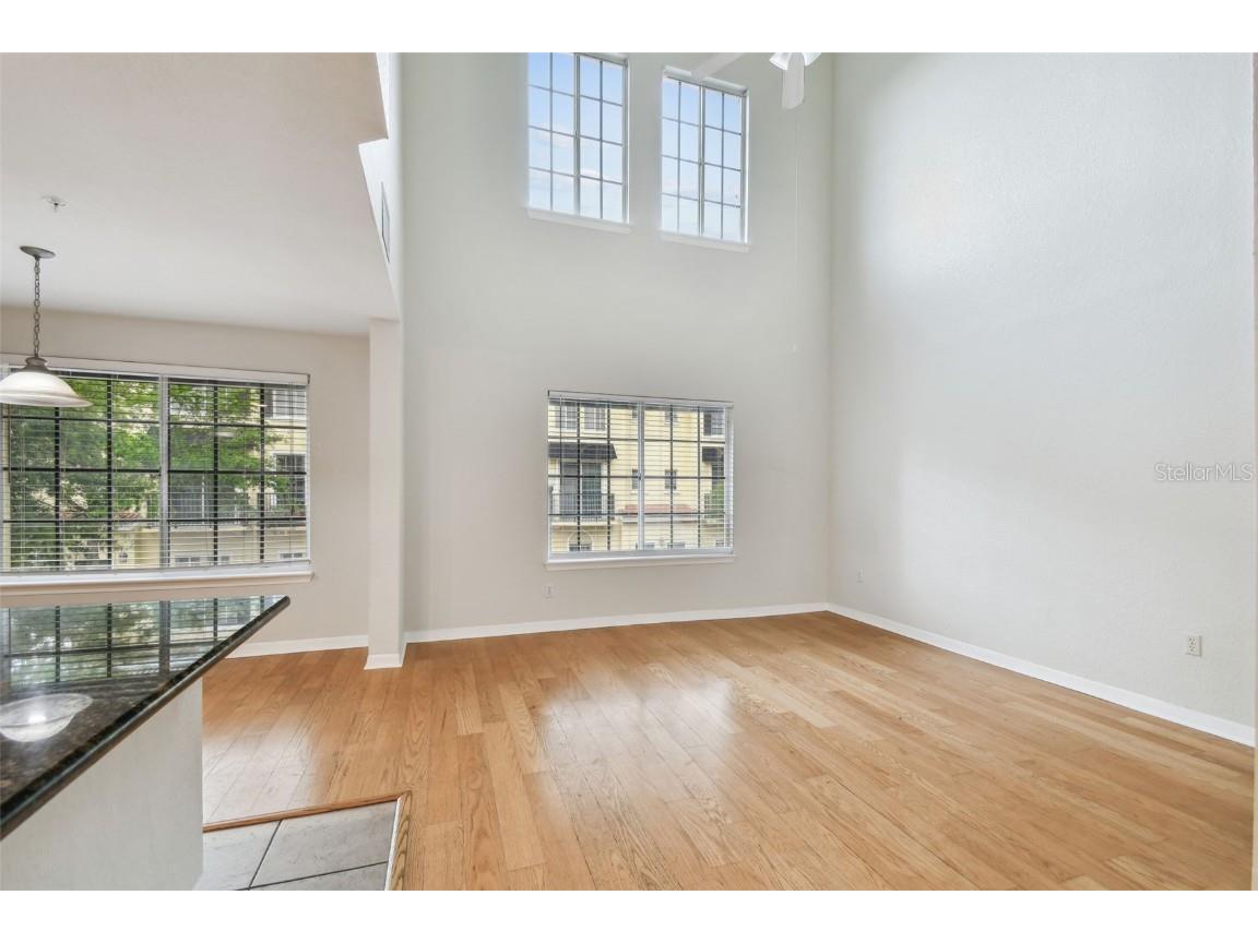 119 Beach Haven Lane Tampa FL 33609 TB8453418 image14