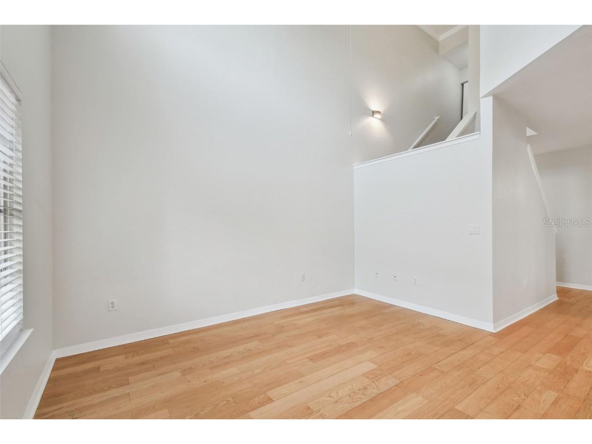 119 Beach Haven Lane Tampa FL 33609 TB8453418 image19