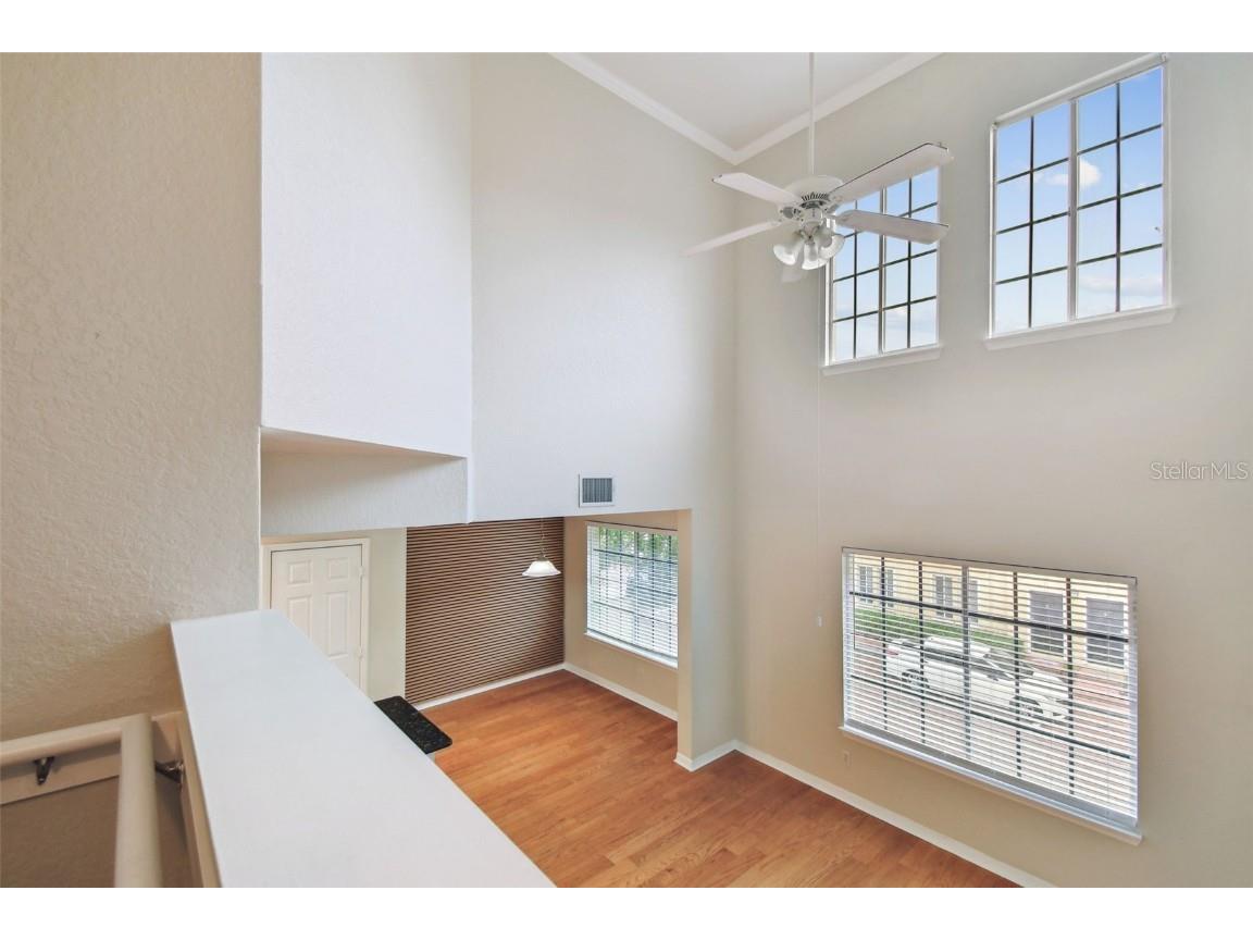 119 Beach Haven Lane Tampa FL 33609 TB8453418 image20