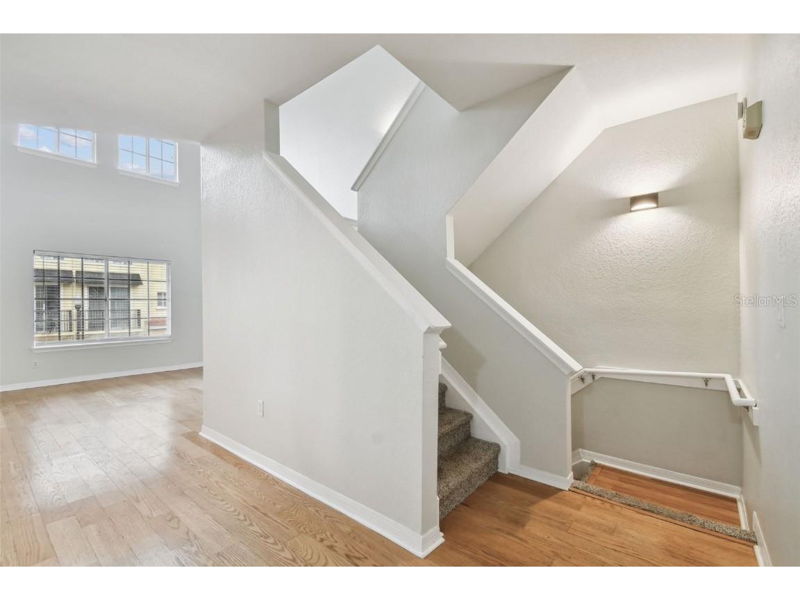 119 Beach Haven Lane Tampa FL 33609 TB8453418 image24