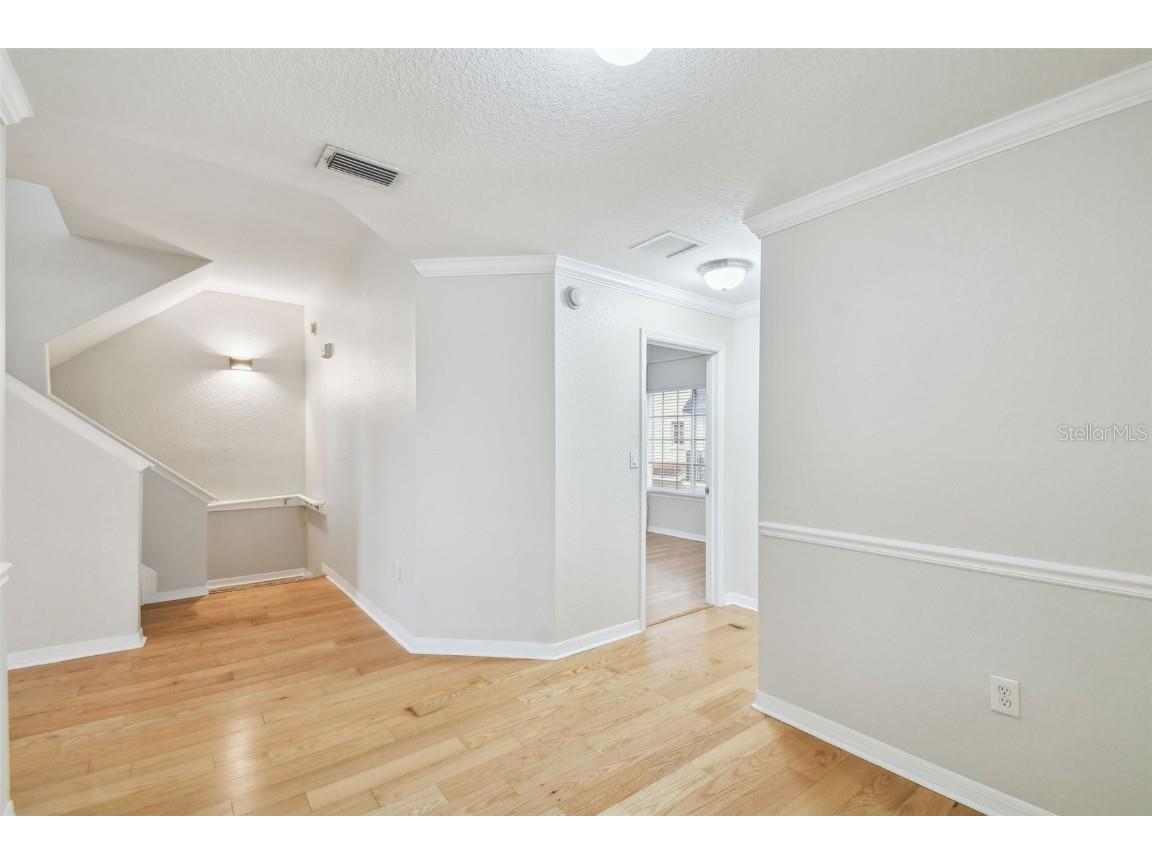 119 Beach Haven Lane Tampa FL 33609 TB8453418 image27