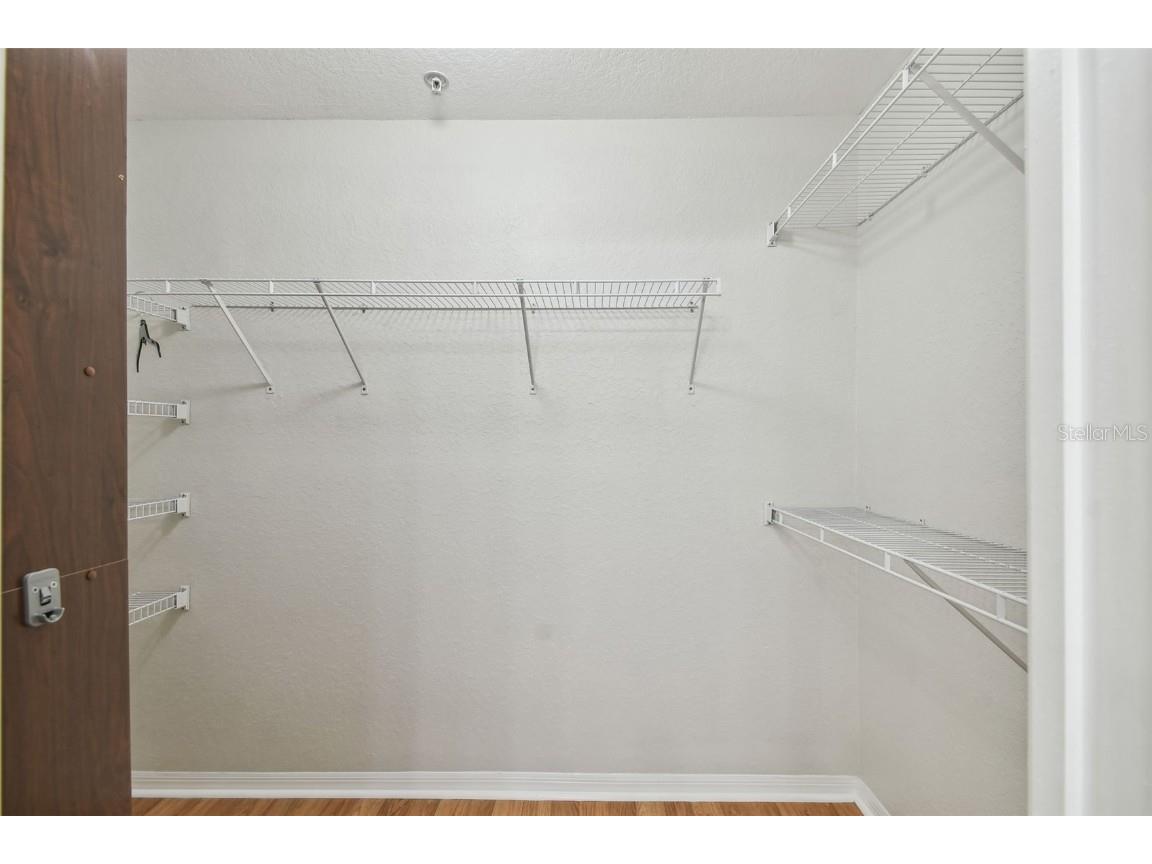 119 Beach Haven Lane Tampa FL 33609 TB8453418 image44