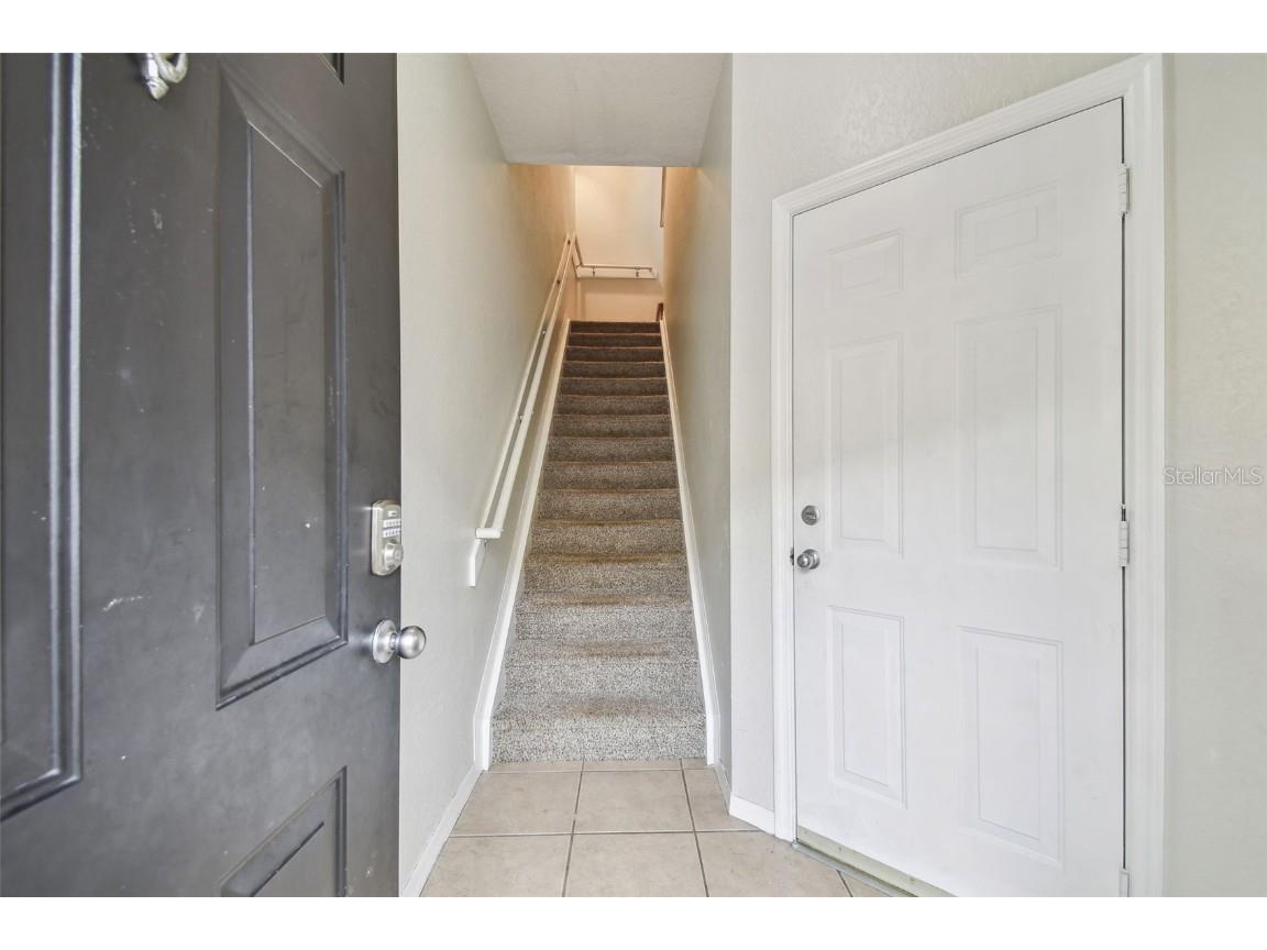 119 Beach Haven Lane Tampa FL 33609 TB8453418 image7
