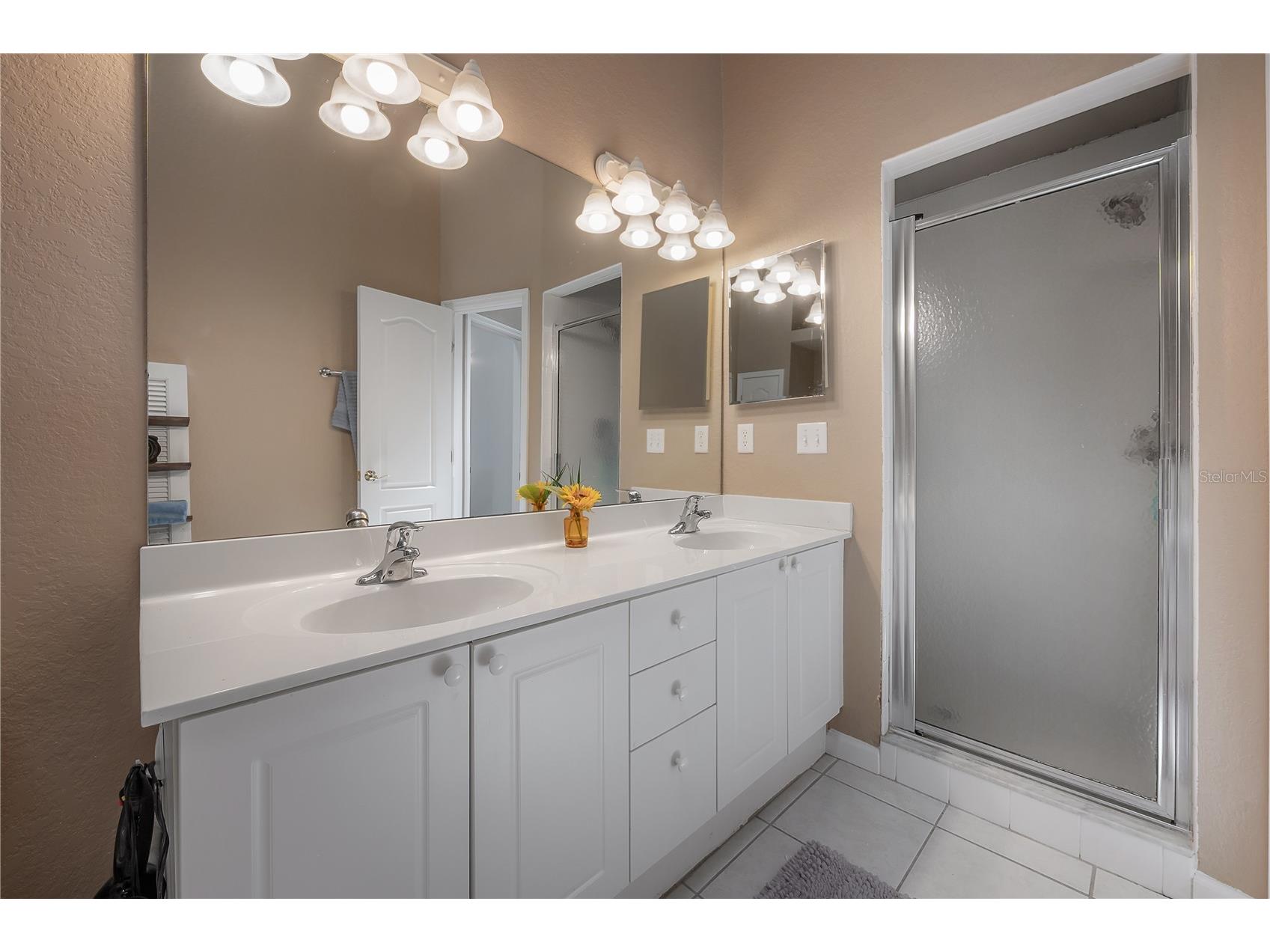 119 Brent Circle Oldsmar FL 34677 TB8504789 image46
