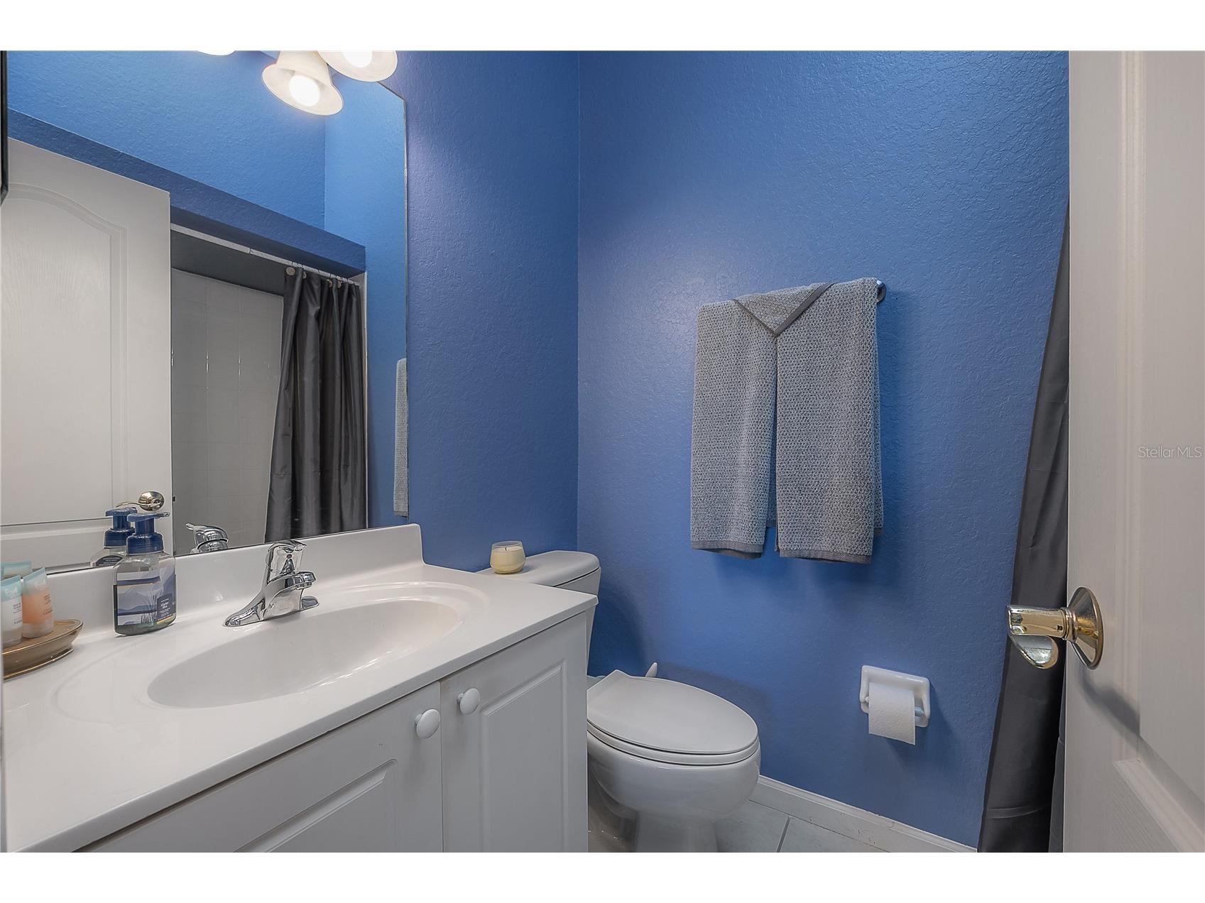119 Brent Circle Oldsmar FL 34677 TB8504789 image50