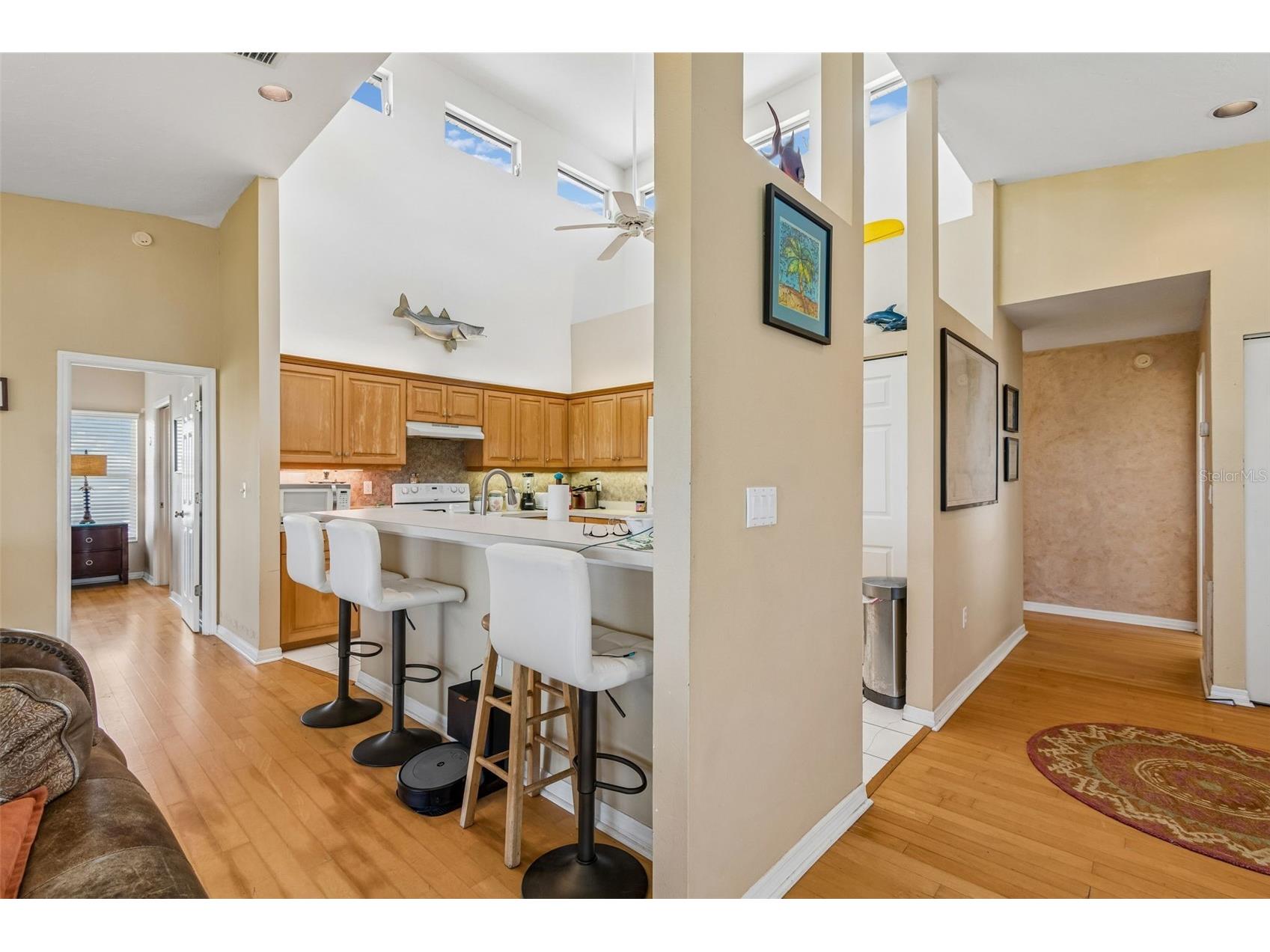 119 Burns Road Terra Ceia FL 34250 TB8512882 image25