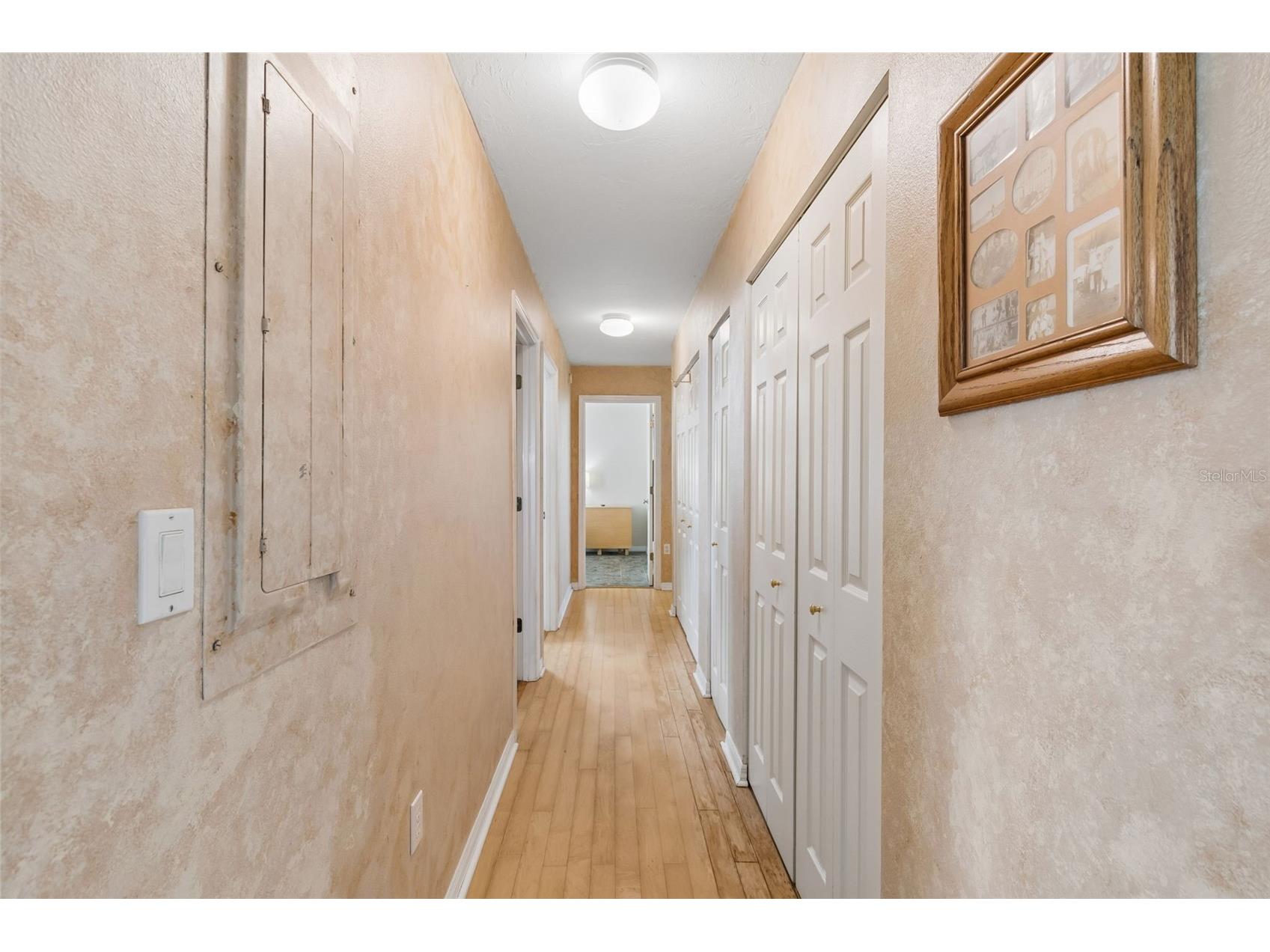 119 Burns Road Terra Ceia FL 34250 TB8512882 image63