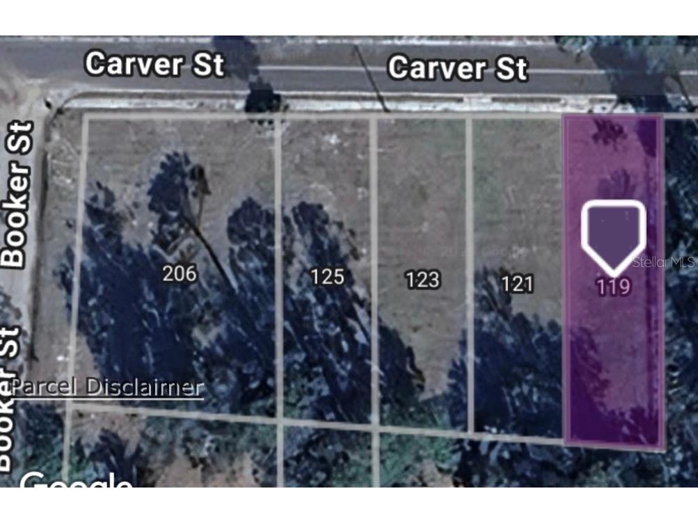 119 Carver Street Palatka FL 32177 OM714025 image1