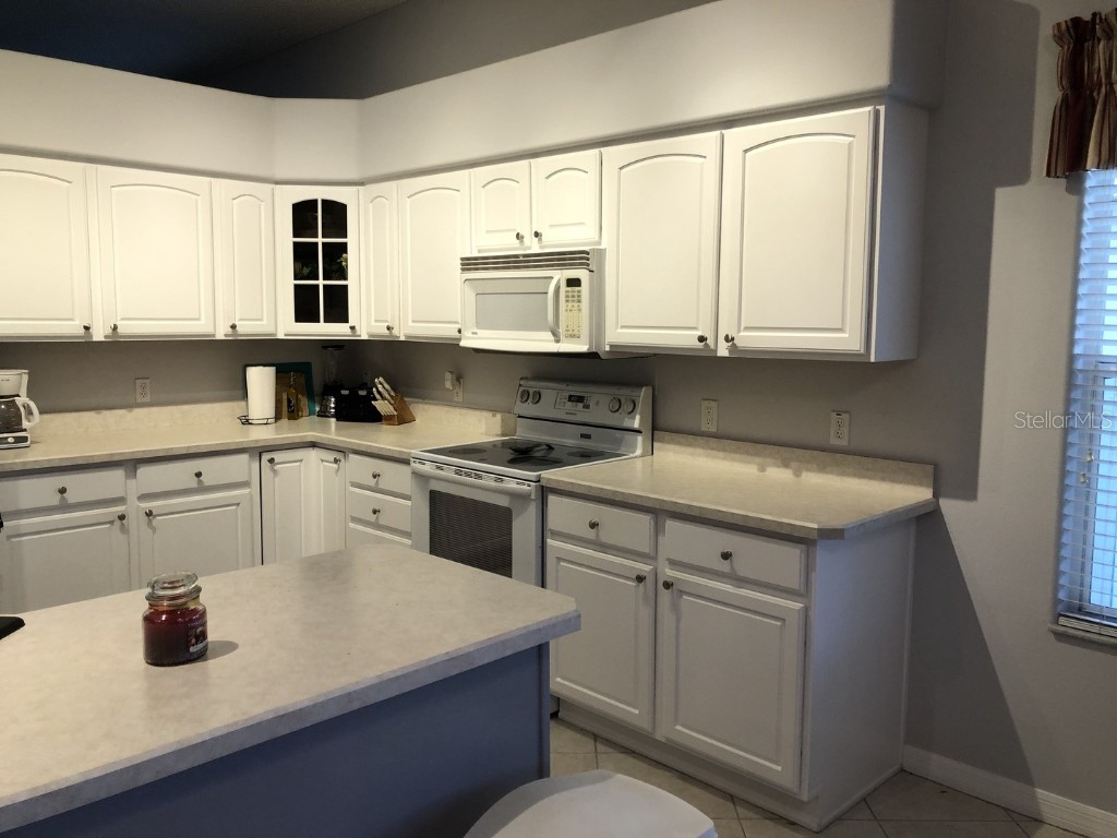 119 Costa Mesa Drive Lady Lake FL 32159 OM705111 image3