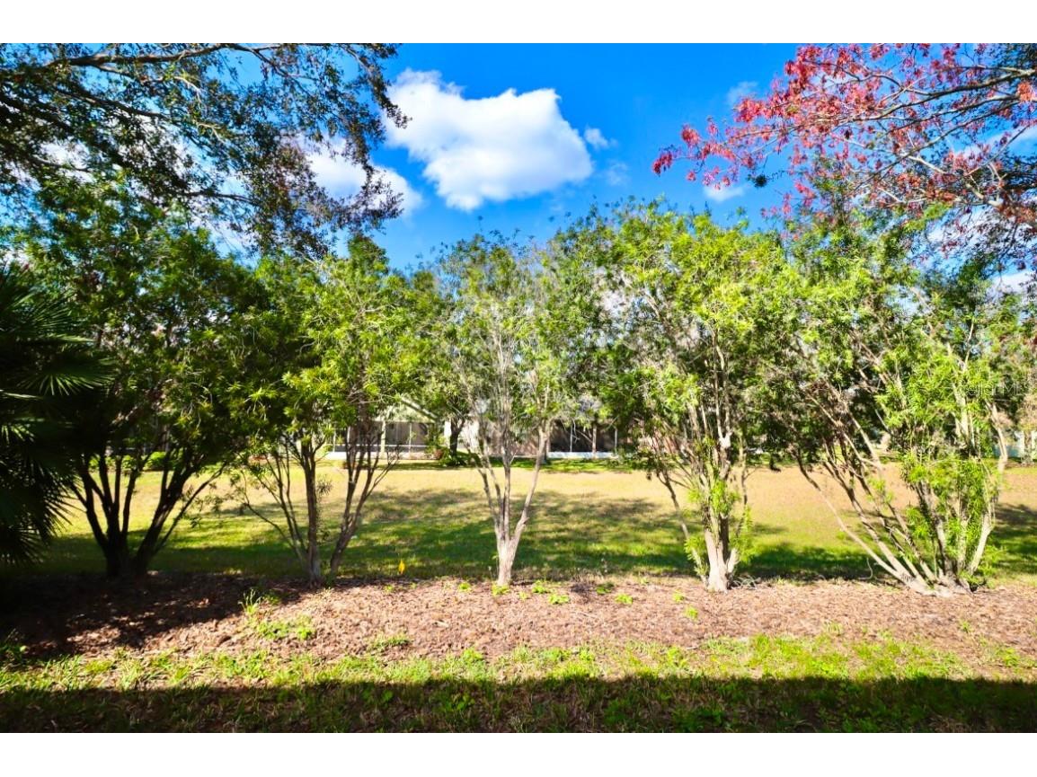 119 Crescent Moon Drive Groveland FL 34736 G5088807 image22