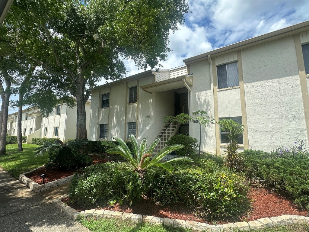 119 Cypress Court Oldsmar FL 34677 U8242145 image1