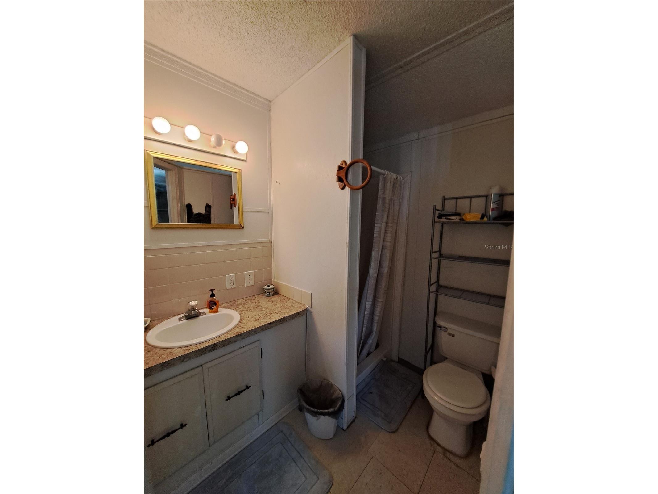 119 Daisy Avenue Auburndale FL 33823 L4961501 image28