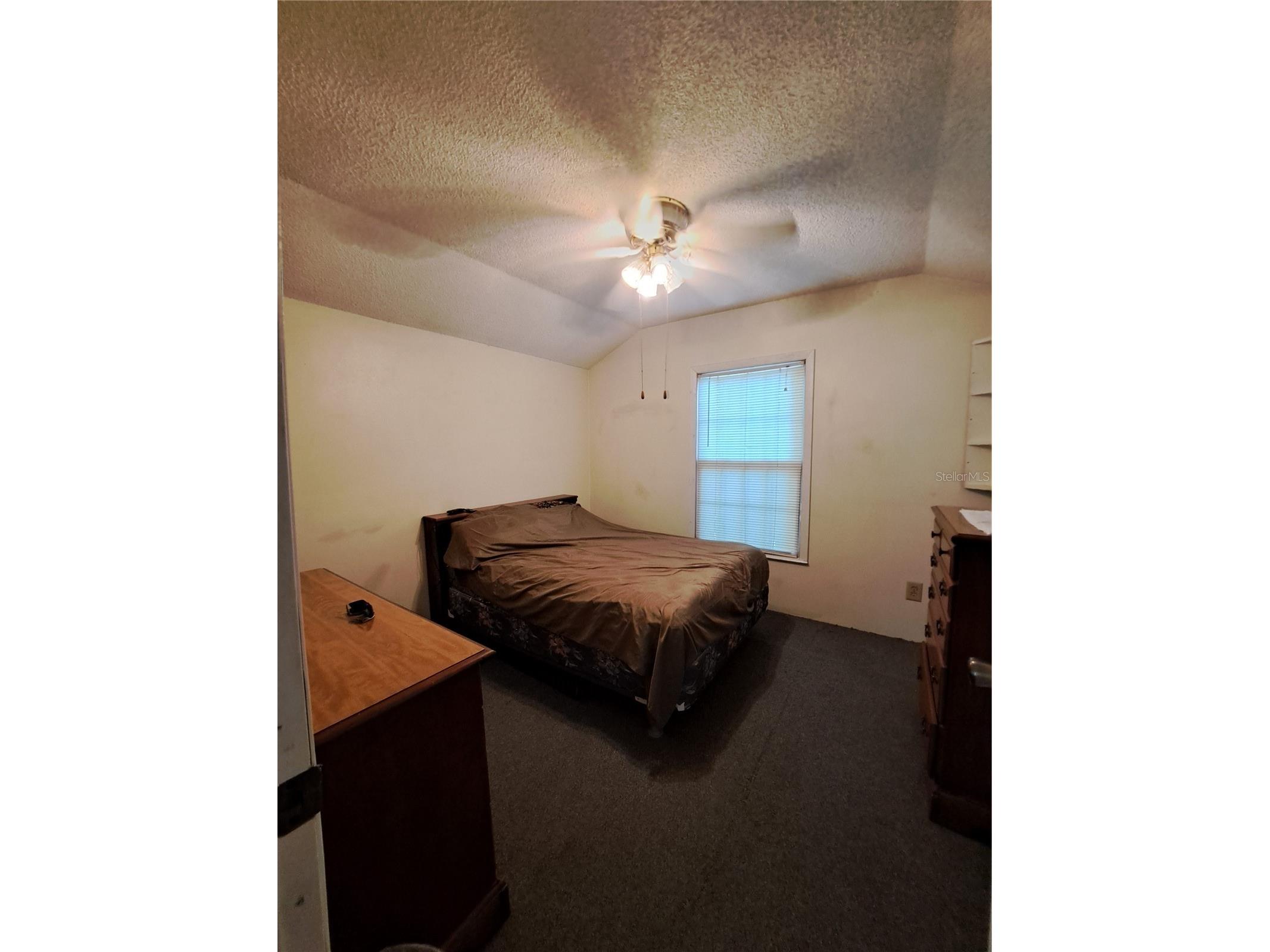 119 Daisy Avenue Auburndale FL 33823 L4961501 image29