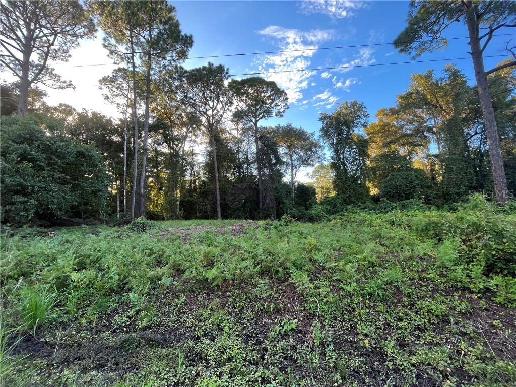 119 Dolphin Drive Georgetown FL 32139 OK221944 image1