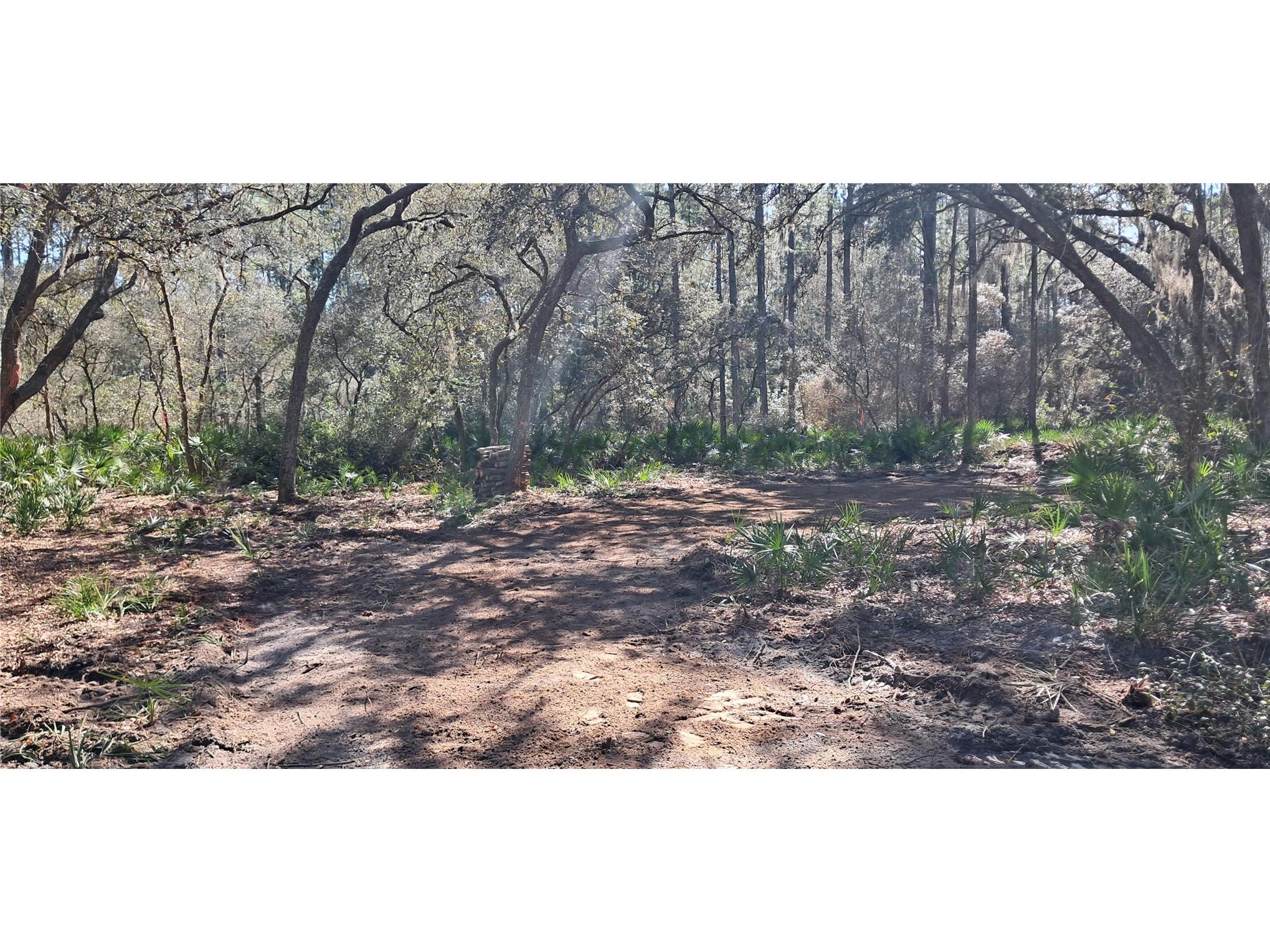 119 Gardenia Avenue Georgetown FL 32139 K4903404 image1
