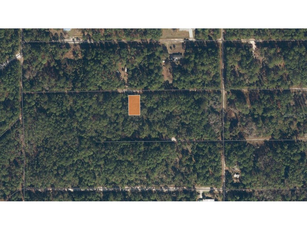 119 Gardenia Avenue Georgetown FL 32139 K4903404 image5