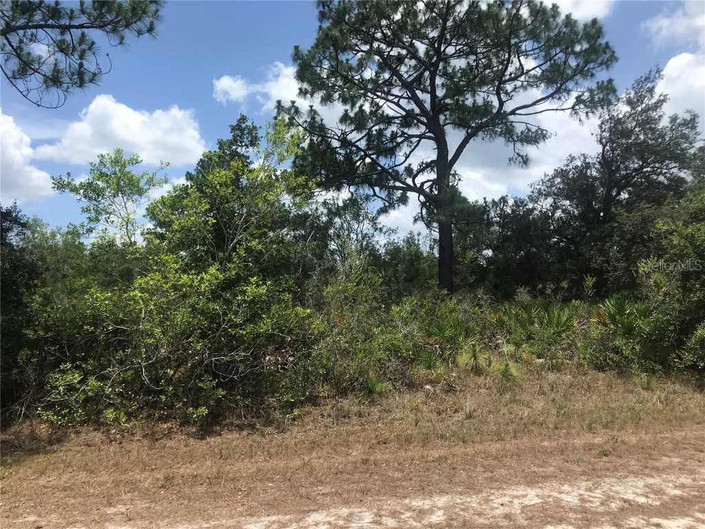 119 Indian Lake Drive Indian Lake Estates FL 33855 S5108159 image1