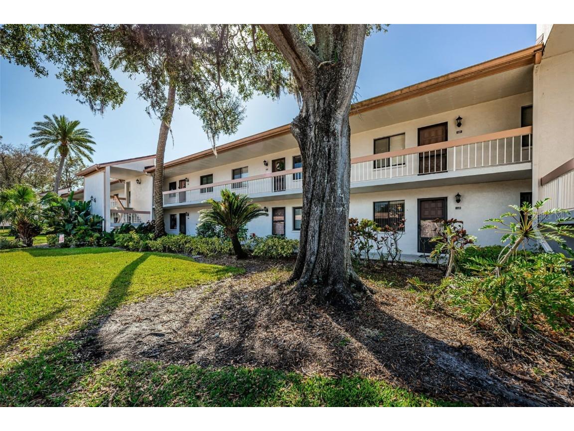 119 Lakeview Way Oldsmar FL 34677 U8189886 image1