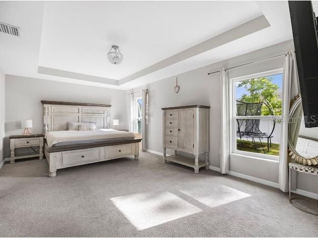 119 Lindsay Drive Palm Coast FL 32137 FC310022 image24