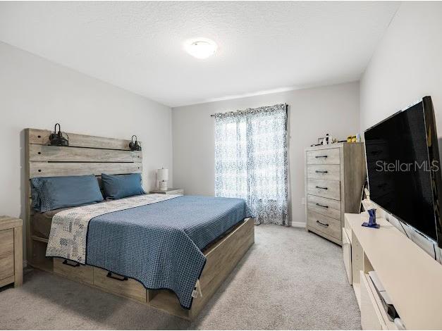 119 Lindsay Drive Palm Coast FL 32137 FC310022 image33