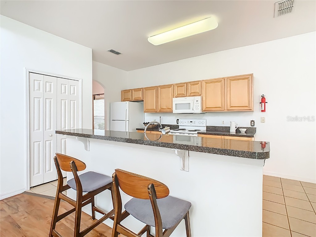 119 Moorgate Drive Davenport FL 33897 O6348372 image19