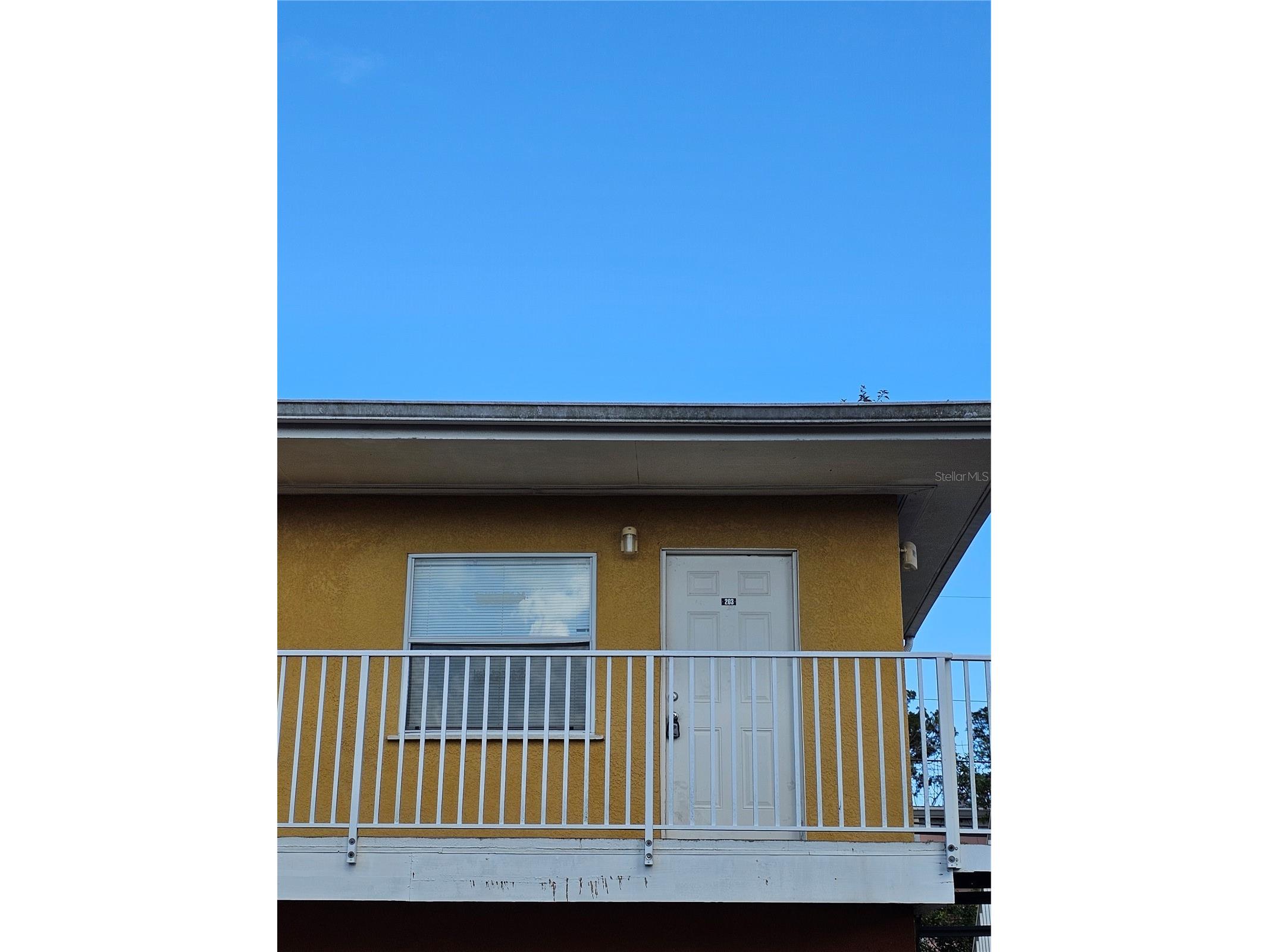 119 N Evergreen Avenue #203 Clearwater FL 33755 TB8484760 image2