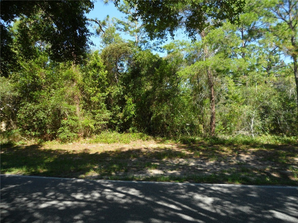 119 Oak Village Boulevard Homosassa FL 34446 OM705638 image1