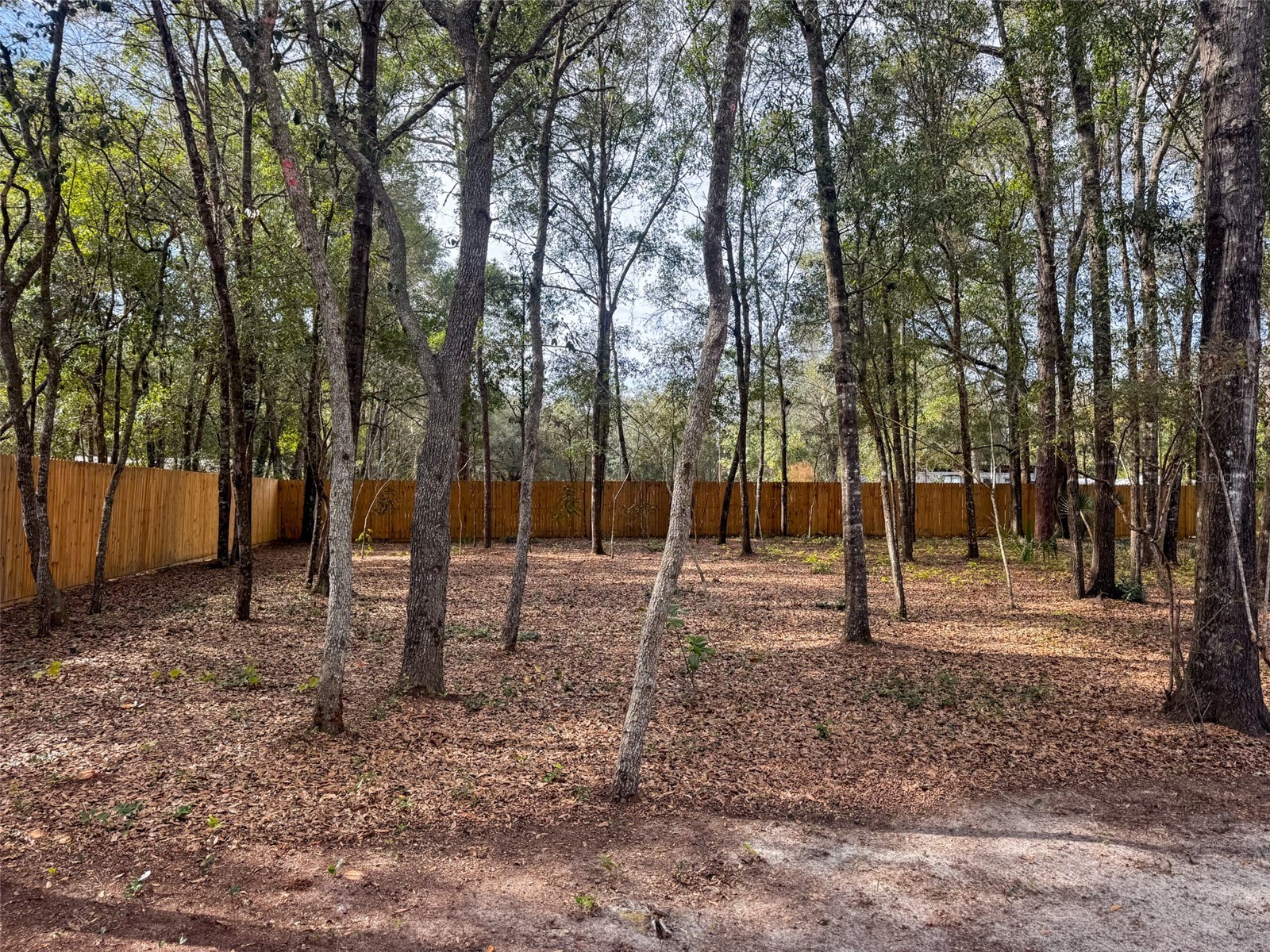 119 Pine Trail Melrose FL 32666 GC537837 image20