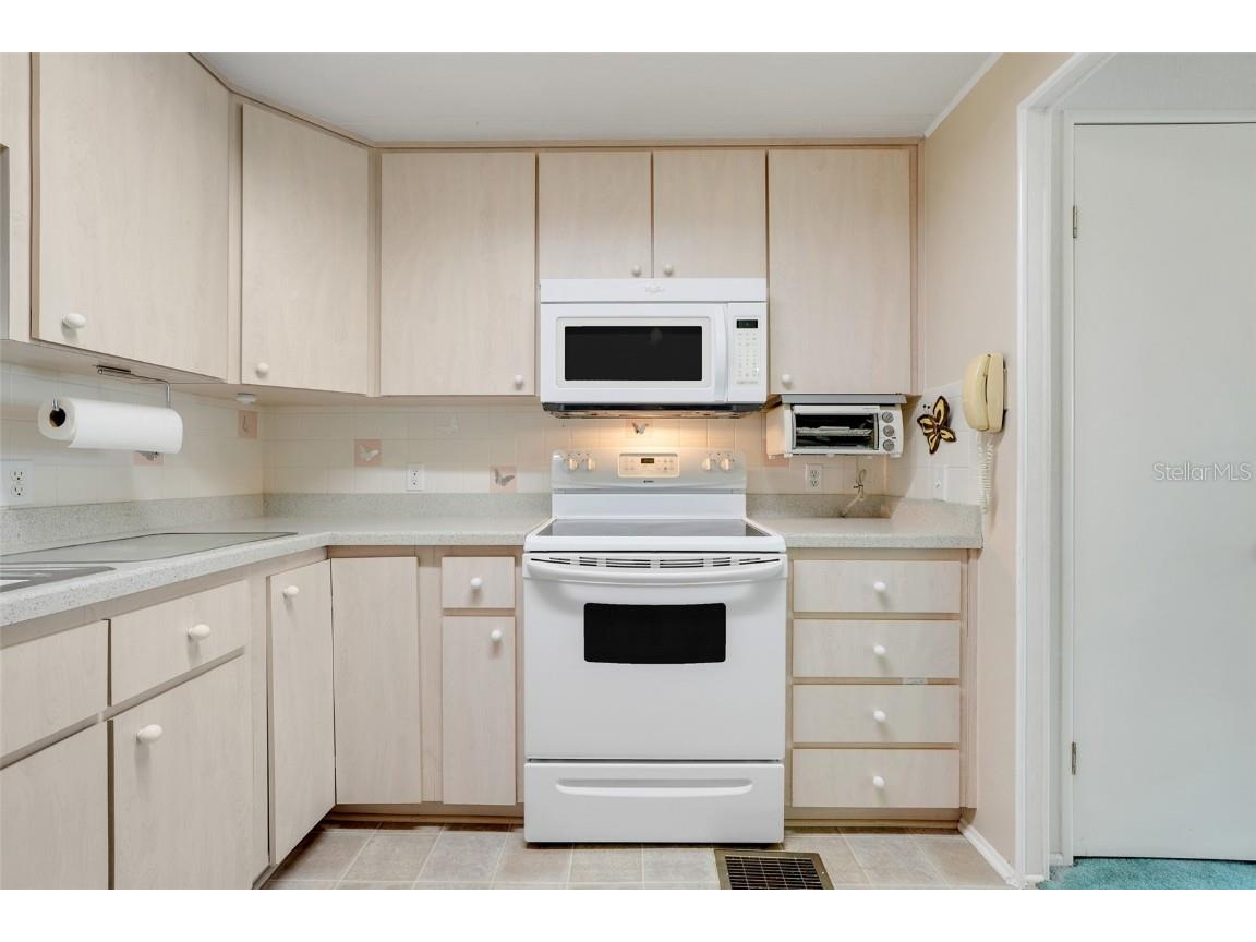 119 Royal Palm Drive Leesburg FL 34748 G5098597 image14