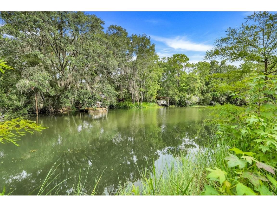 119 Royal Palm Drive Leesburg FL 34748 G5098597 image42