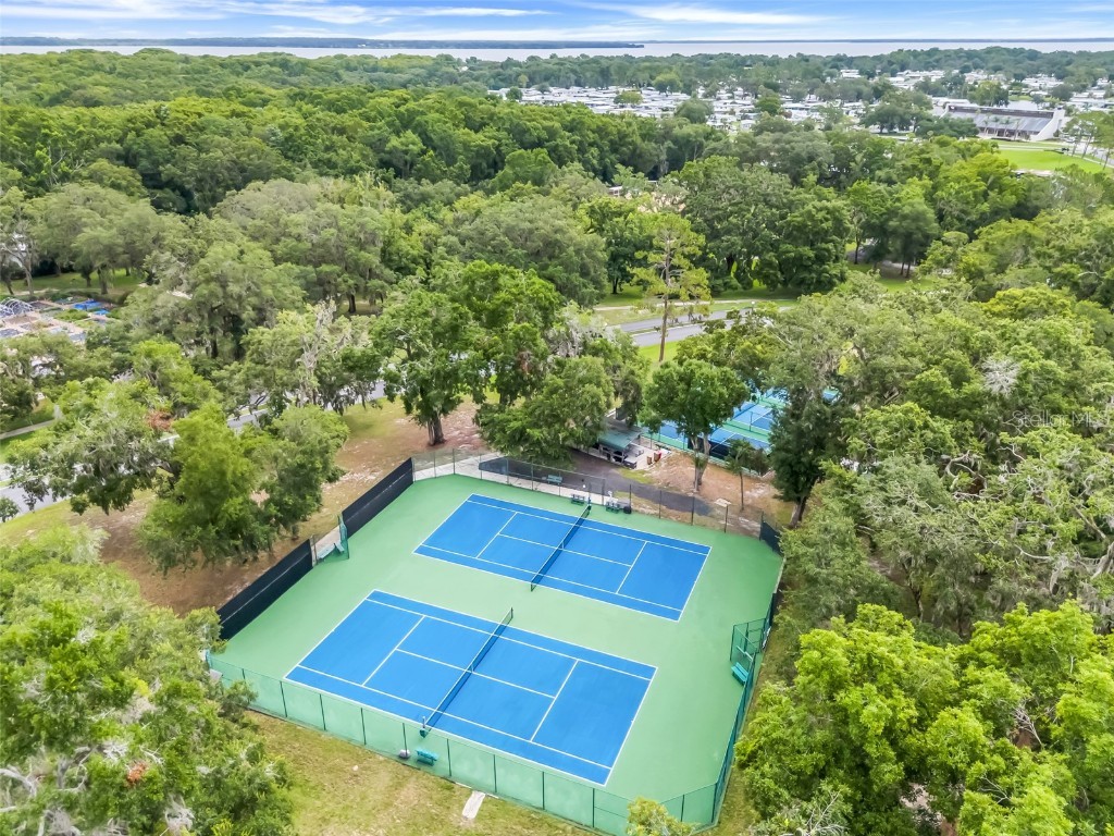 119 Royal Palm Drive Leesburg FL 34748 G5098597 image53