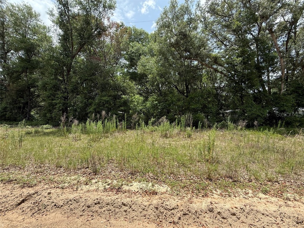 119 Smokey Avenue Interlachen FL 32148 OK225254 image1