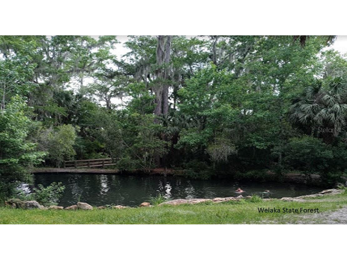 119 Smokey Avenue Interlachen FL 32148 OK225254 image12