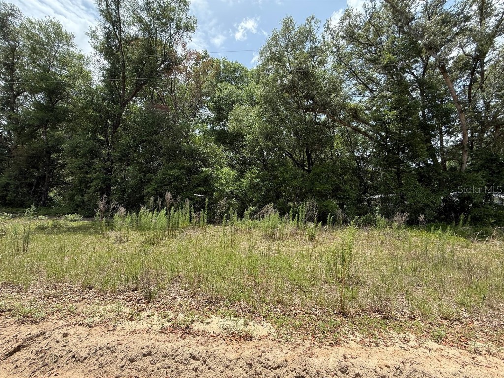 119 Smokey Avenue Interlachen FL 32148 OK225254 image2