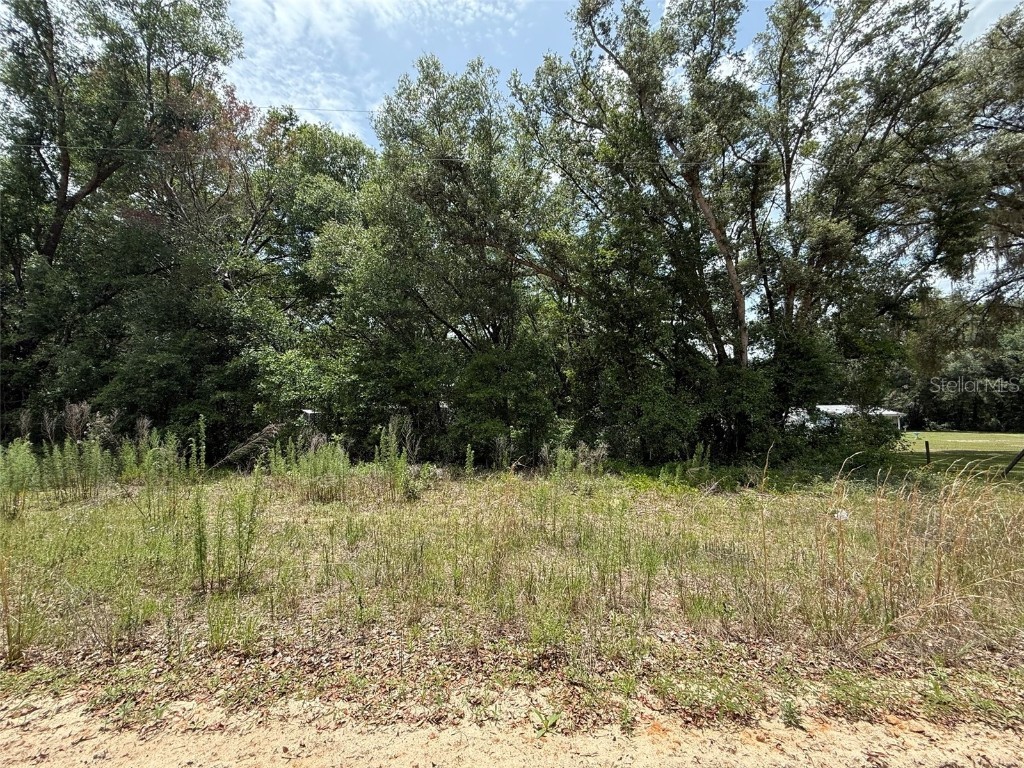 119 Smokey Avenue Interlachen FL 32148 OK225254 image6