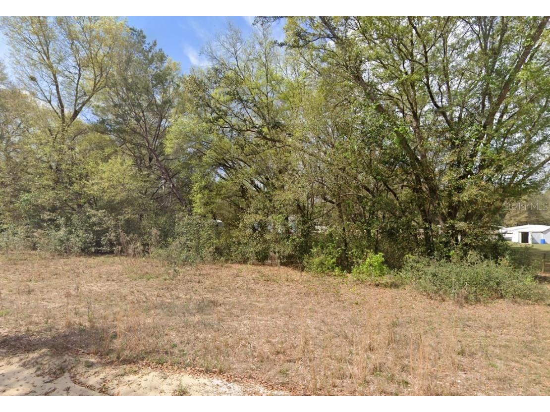 119 Smokey Avenue Interlachen FL 32148 OK225254 image7