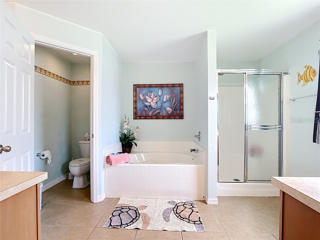 119 Sportsman Road Rotonda West FL 33947 D6144636 image55