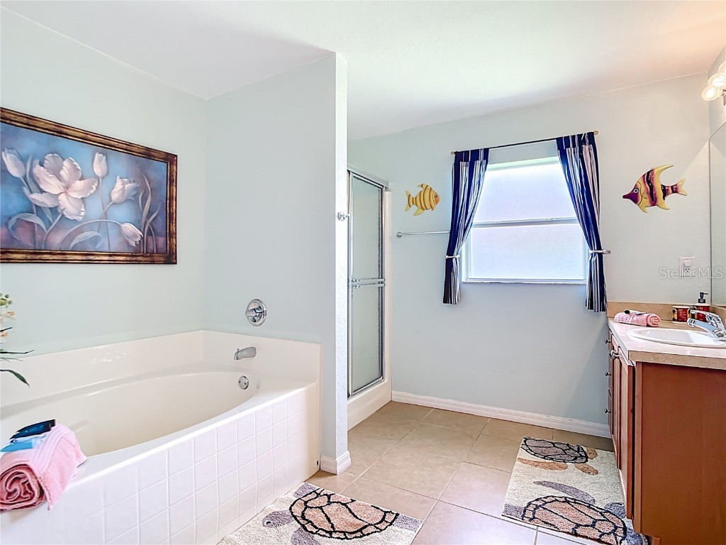 119 Sportsman Road Rotonda West FL 33947 D6144636 image58