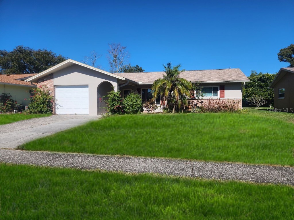 119 Stafford Drive Palm Harbor FL 34684 U8249911 image1