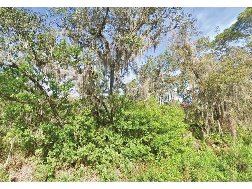 119 Temple Avenue Crescent City FL 32112 O6344377 image1