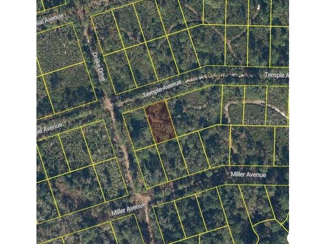 119 Temple Avenue Crescent City FL 32112 O6344377 image2