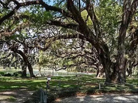 119 Tomoka Trail #119 Longwood FL 32779 S5146106 image17