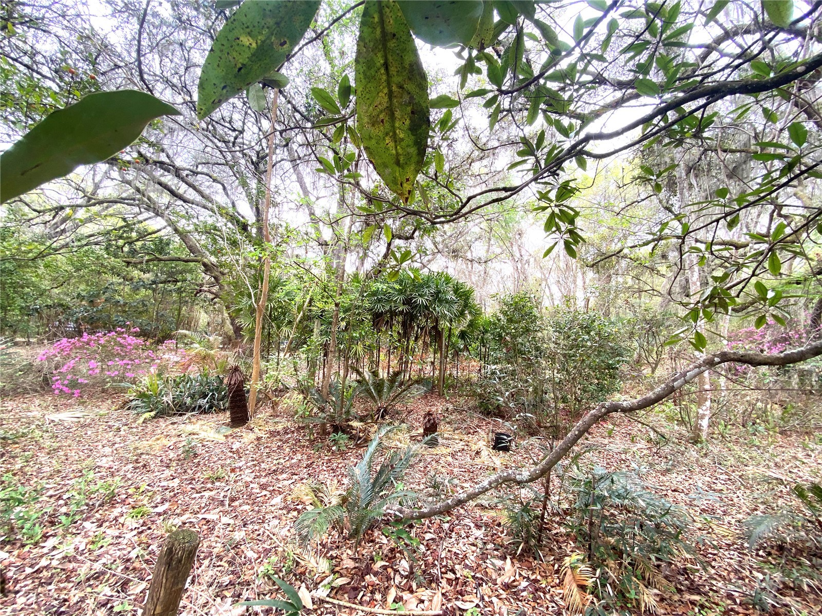 119 Twin Lakes Road Hawthorne FL 32640 GC538681 image10