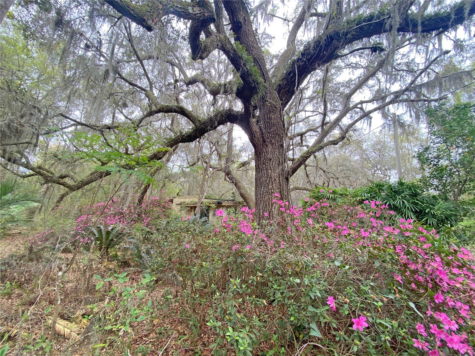 119 Twin Lakes Road Hawthorne FL 32640 GC538681 image12