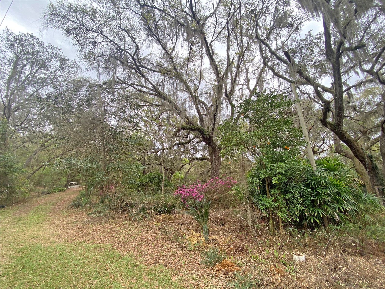 119 Twin Lakes Road Hawthorne FL 32640 GC538681 image15