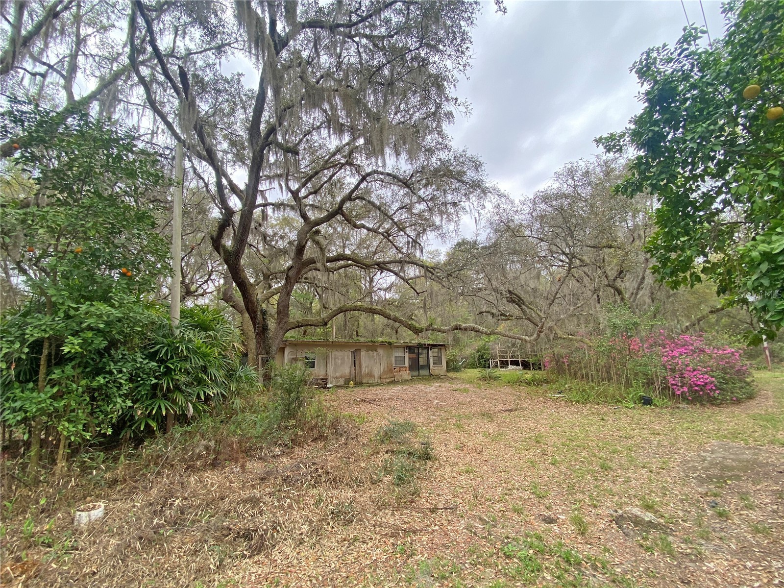 119 Twin Lakes Road Hawthorne FL 32640 GC538681 image16