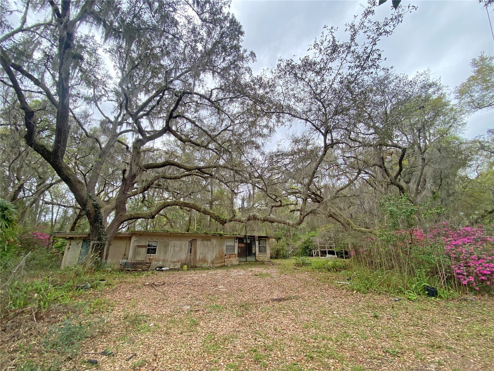 119 Twin Lakes Road Hawthorne FL 32640 GC538681 image17