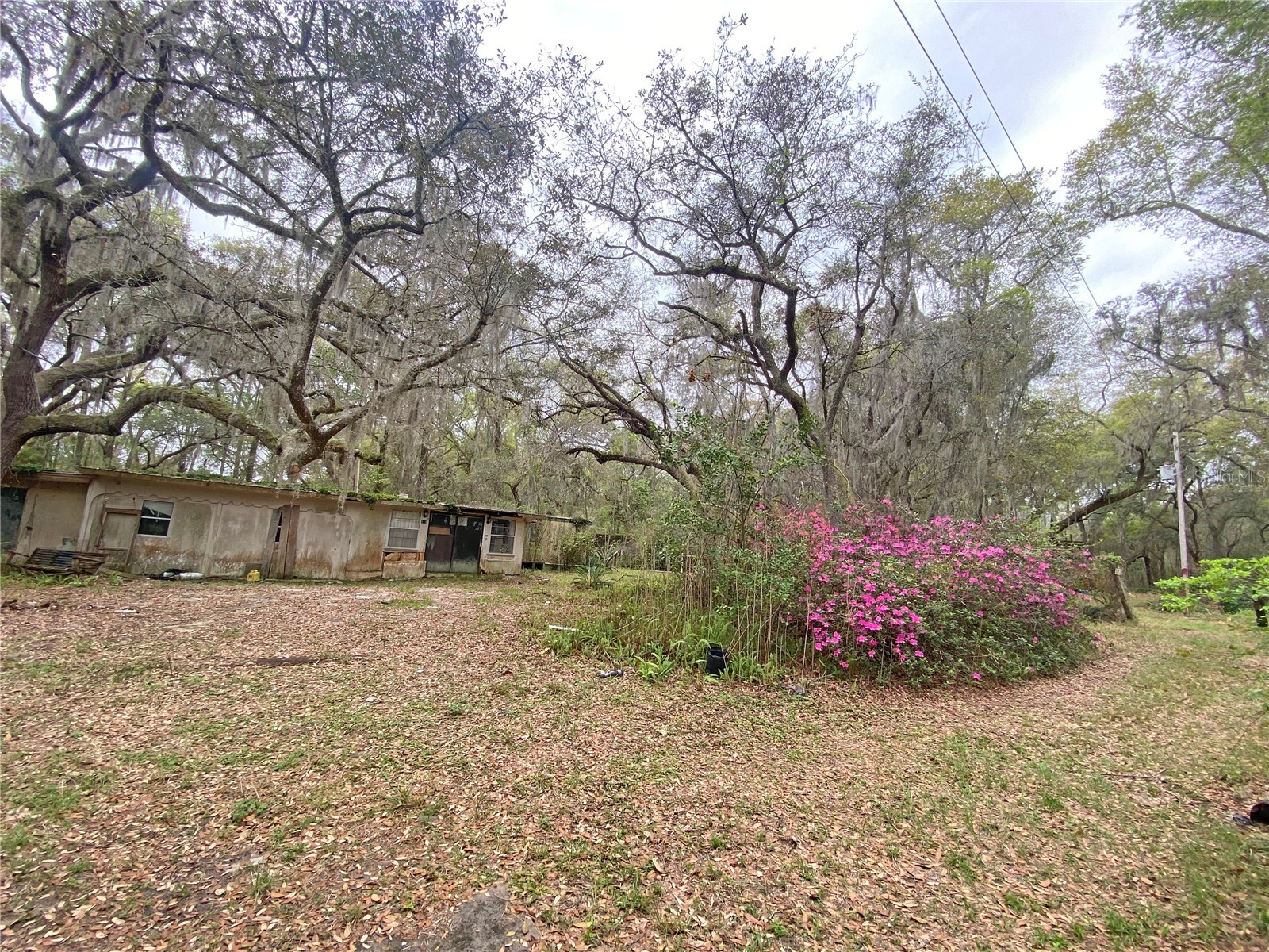 119 Twin Lakes Road Hawthorne FL 32640 GC538681 image18