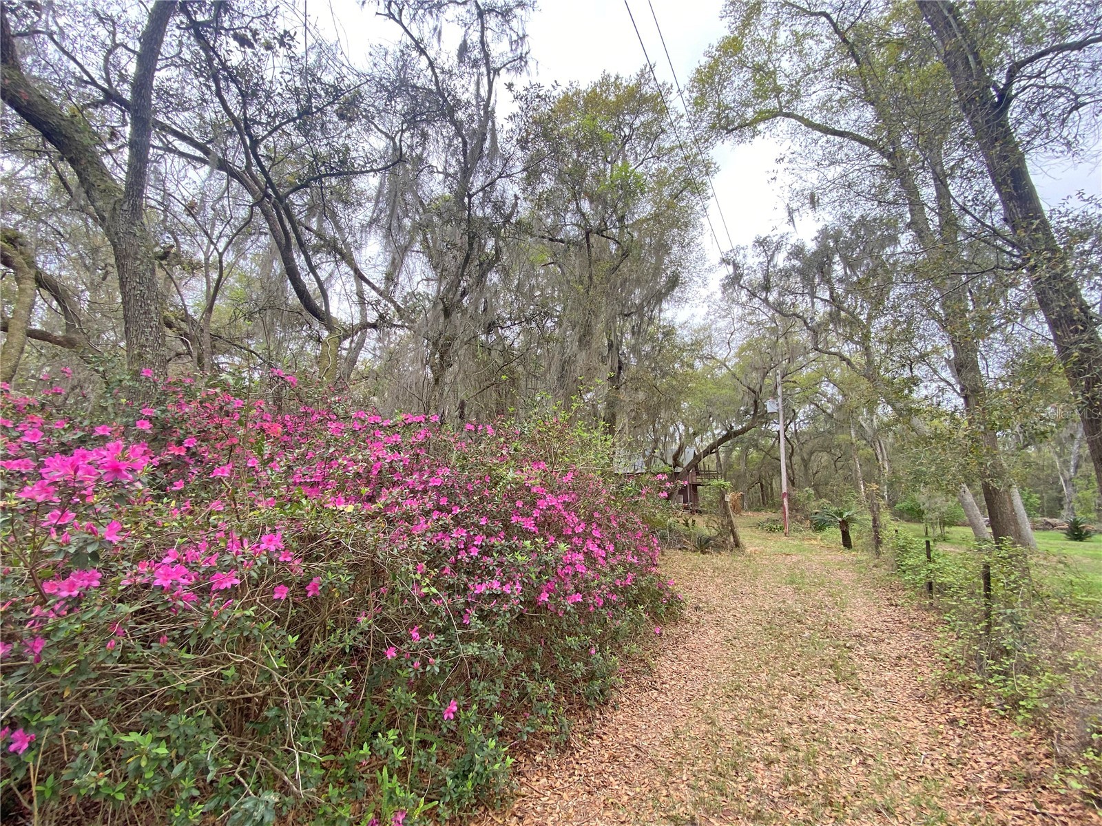 119 Twin Lakes Road Hawthorne FL 32640 GC538681 image19