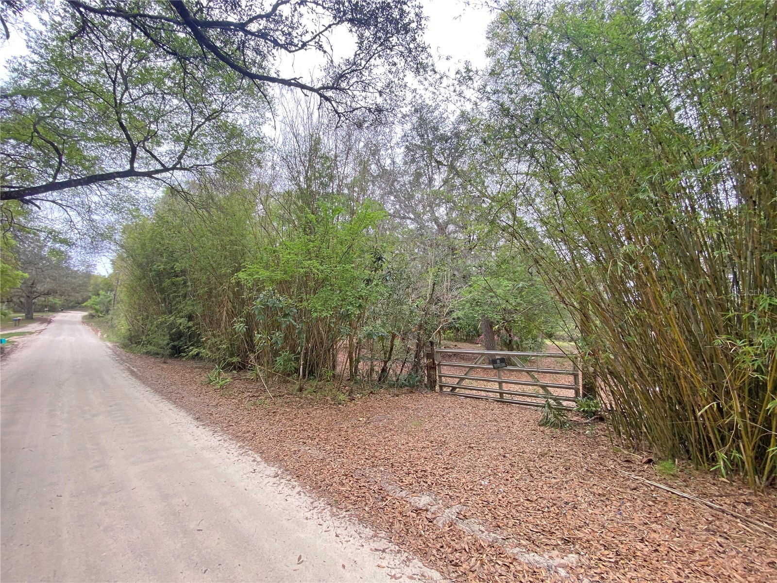 119 Twin Lakes Road Hawthorne FL 32640 GC538681 image2